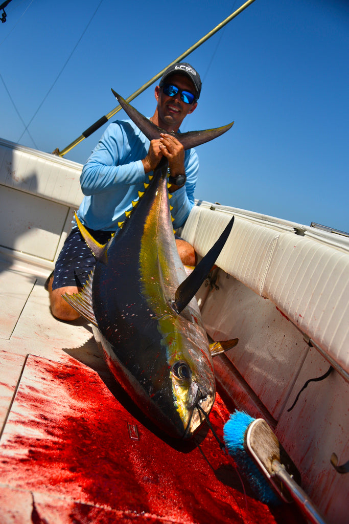 lobo-sportfishing - Lobo Lures #202 Bigeye Candy UV Pelagic Magic Skipjack Hybrid Daisy Chain - Lobo Lures - Daisy Chains