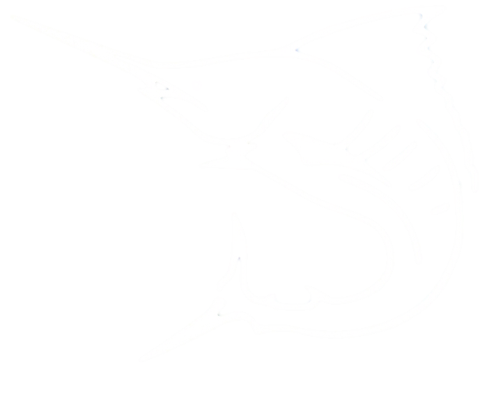 lobo-sportfishing - Marlin Skeleton Vinyl Decals - Lobo Marine Products LLC. - Decals